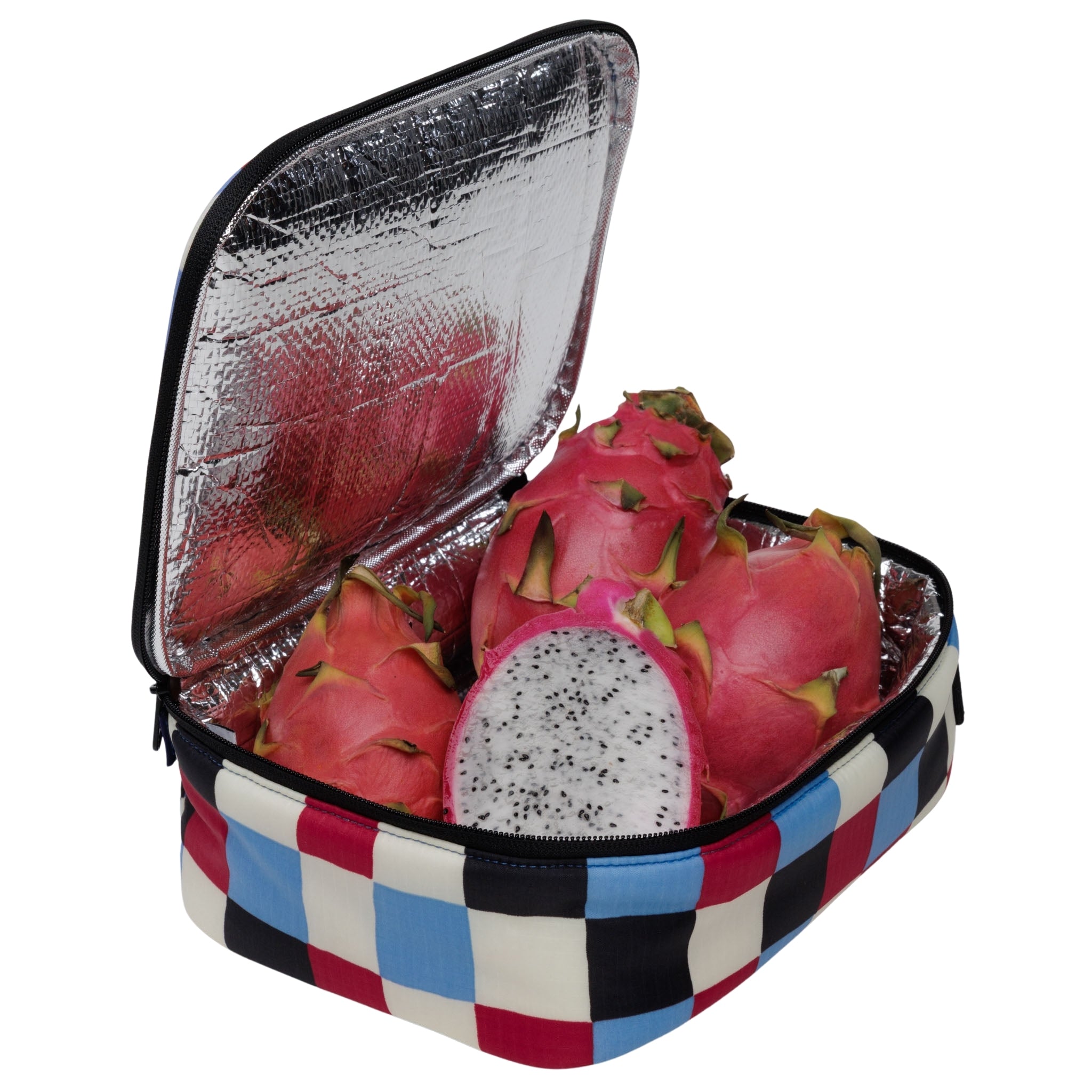 Baggu Lunch Box in Painted Check