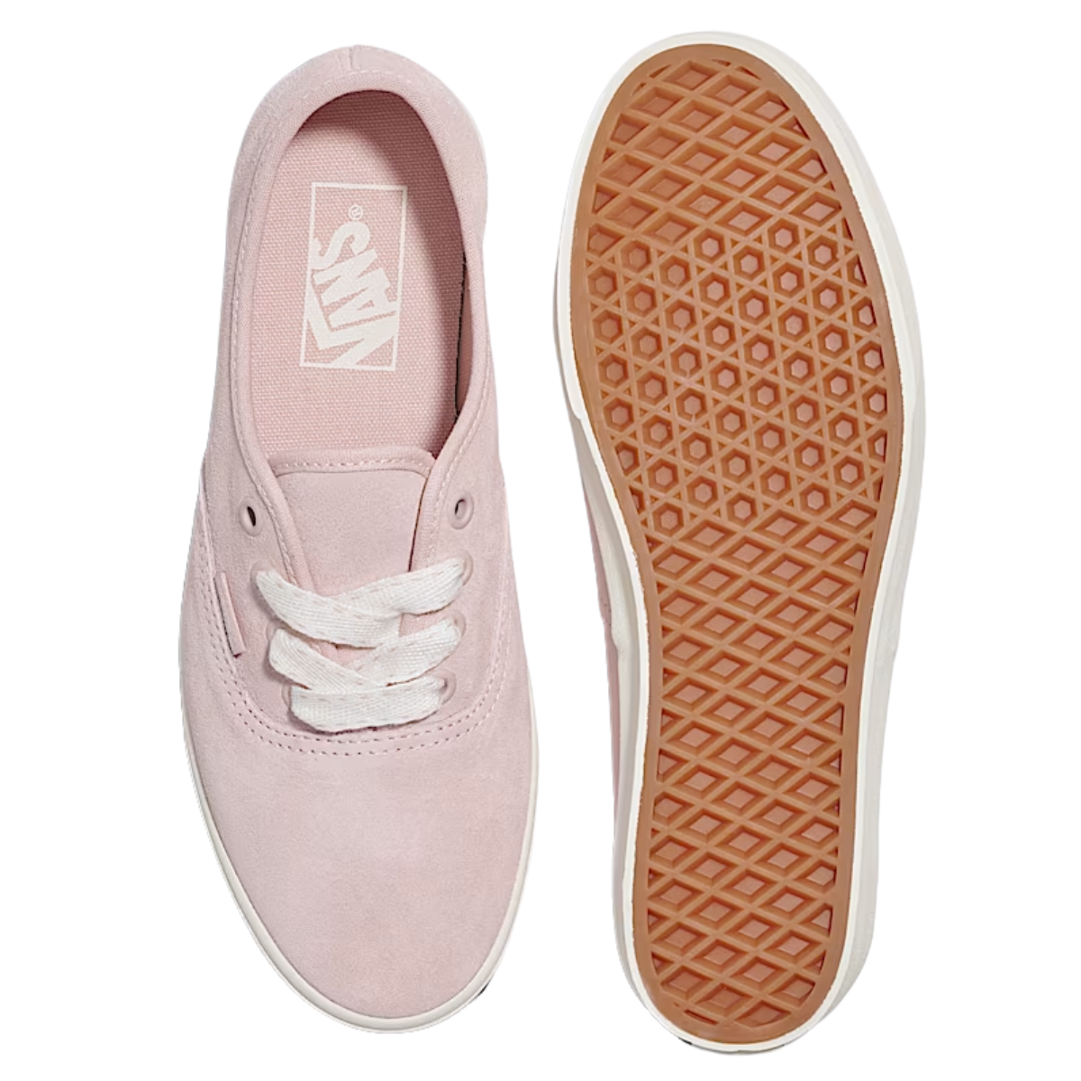 Vans Women's Authentic Lowpro in Sepia Rose Pink