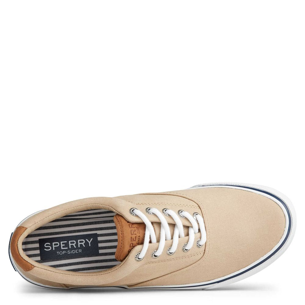 Sperry Men&#39;s Striper II CVO Sneaker in Salt Washed Chino