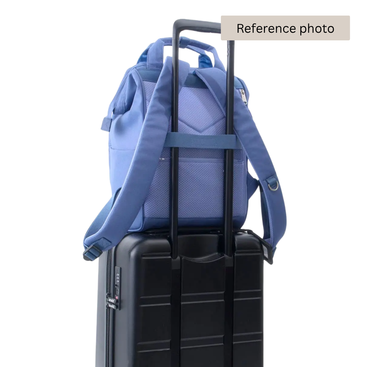 Anello Cross Bottle Backpack Regular in France