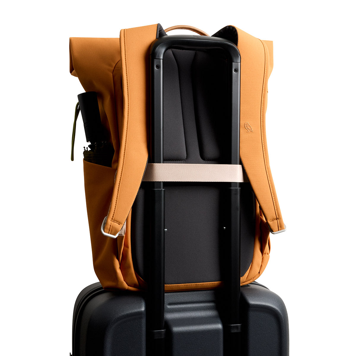 Bellroy Classic Rolltop 26L in Butterscotch