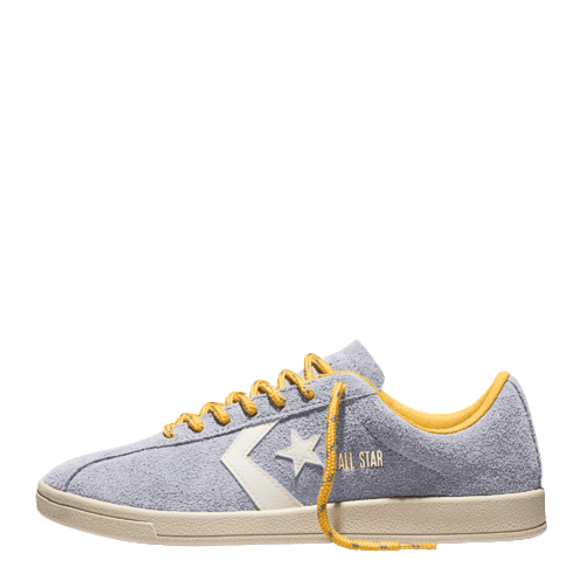 Converse All Star Classic Trainer Suede in Thunder Whale/Gold Palm