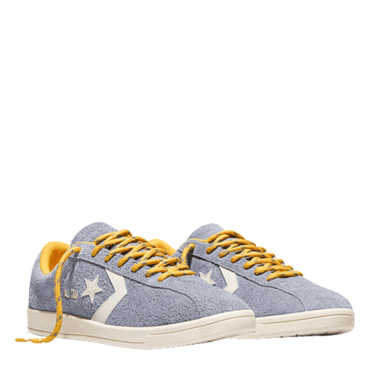 Converse All Star Classic Trainer Suede in Thunder Whale/Gold Palm