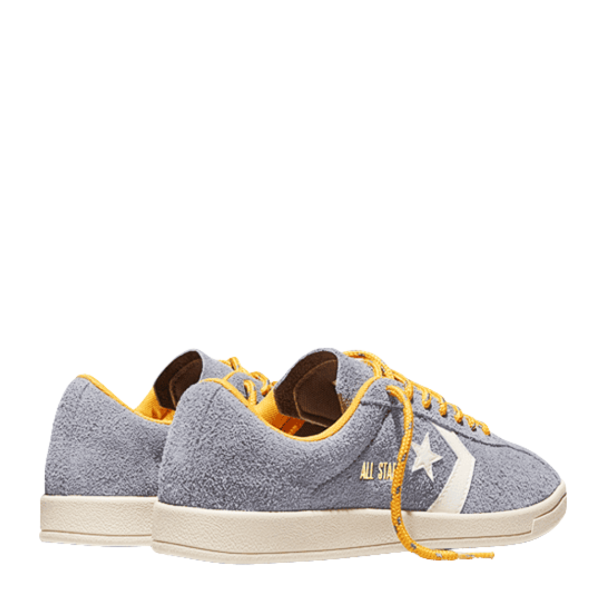 Converse All Star Classic Trainer Suede in Thunder Whale/Gold Palm