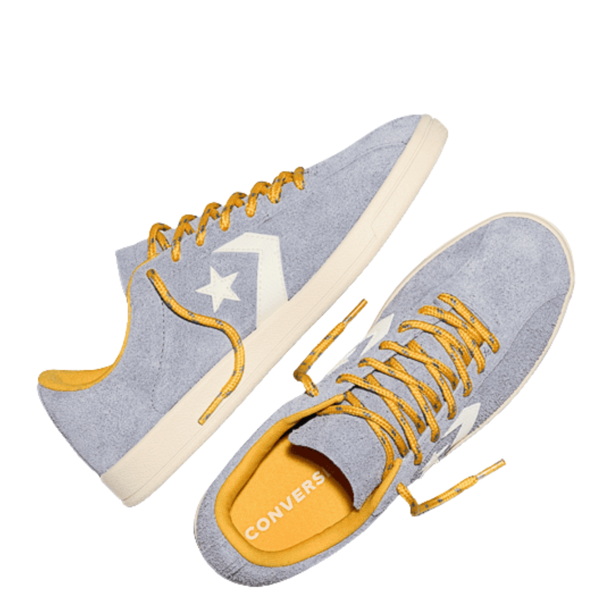 Converse All Star Classic Trainer Suede in Thunder Whale/Gold Palm