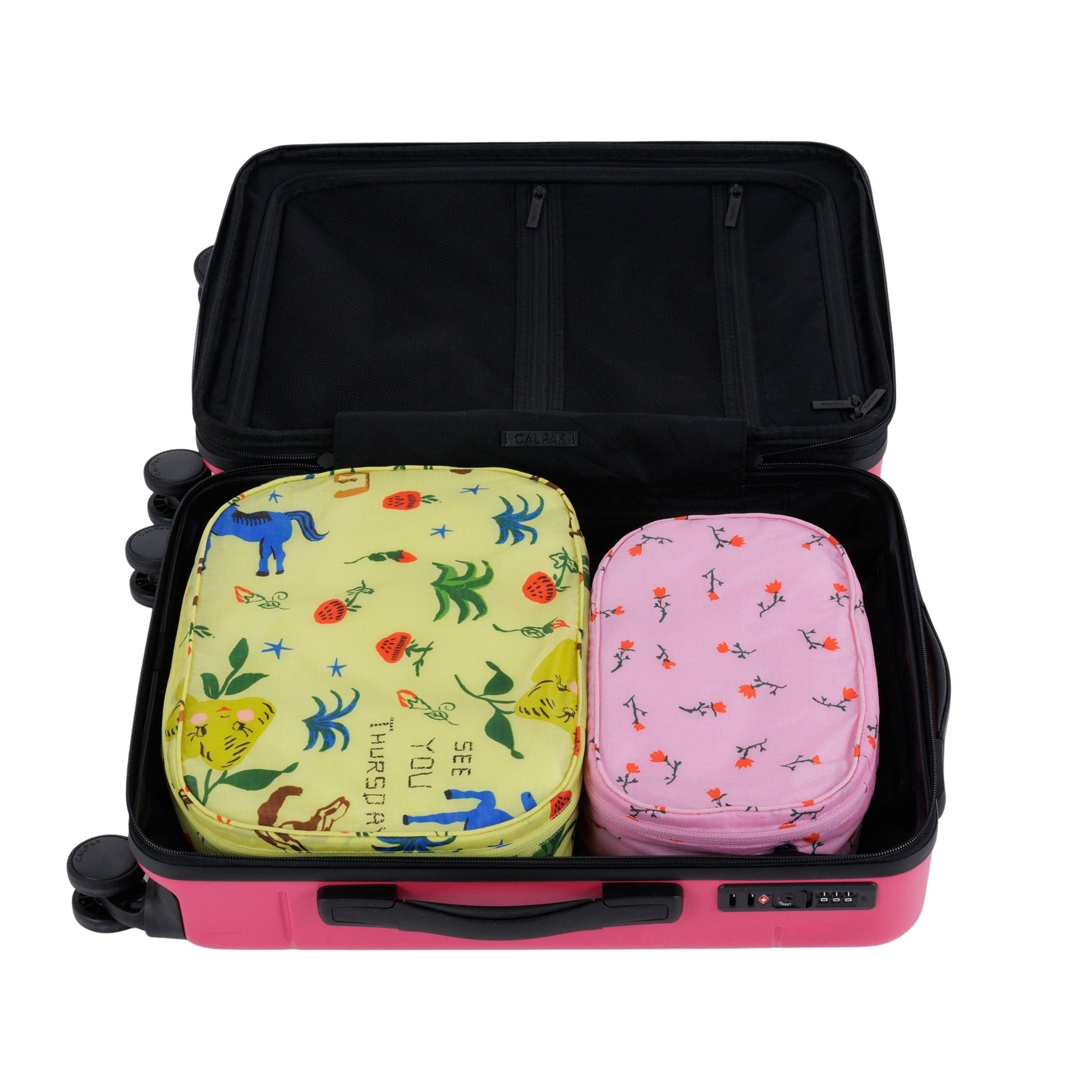 Baggu Packing Cube Set in Painted Prairie