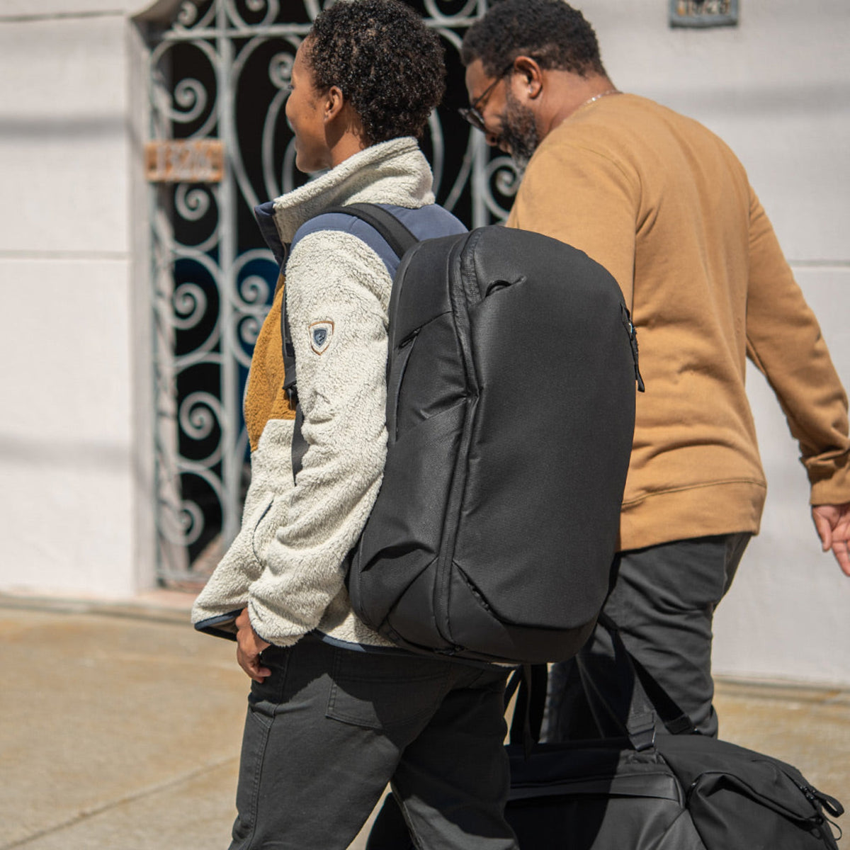 Peak Design Travel Backpack 30L in Black