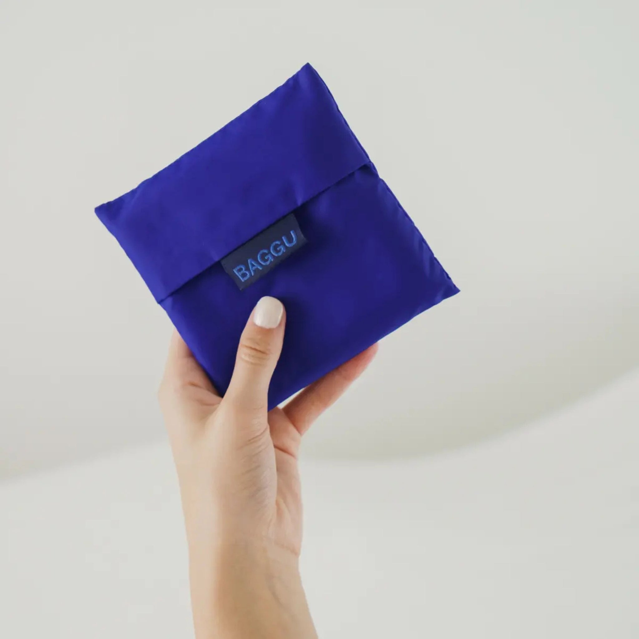 Baggu Standard Bag in Cobalt