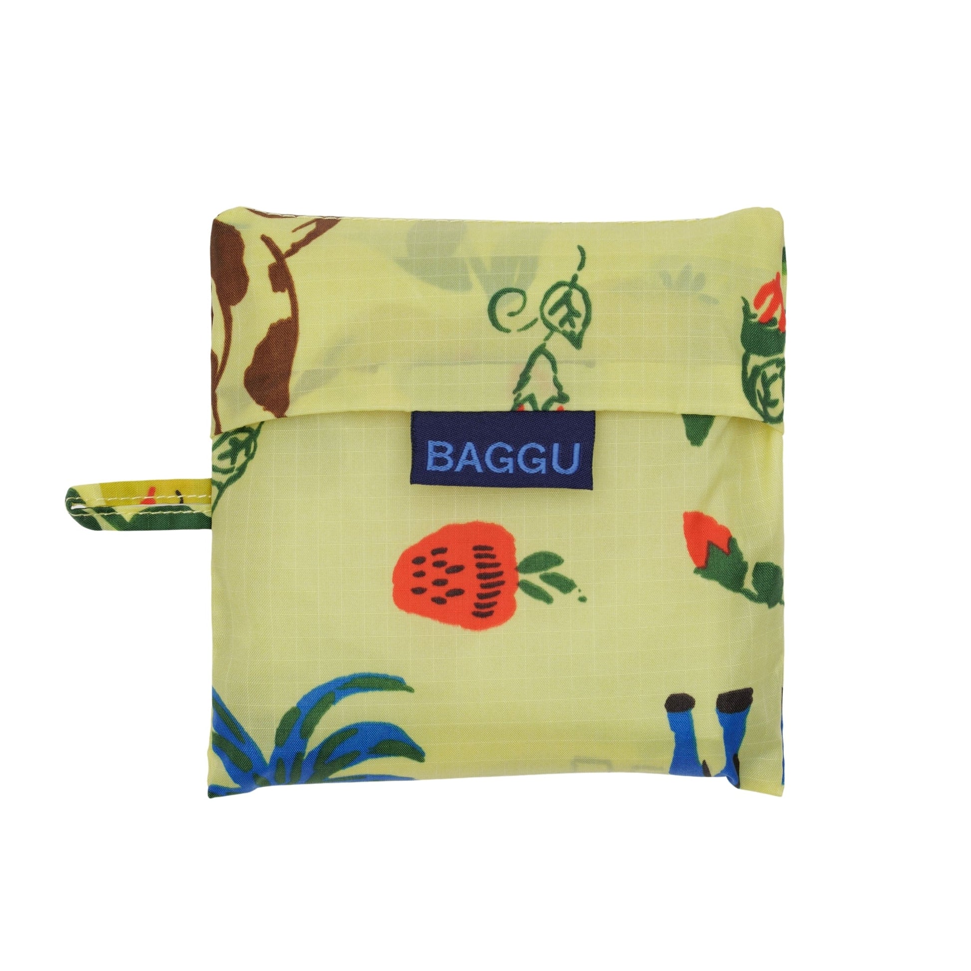 Baggu Standard Bag in Painted Prairie