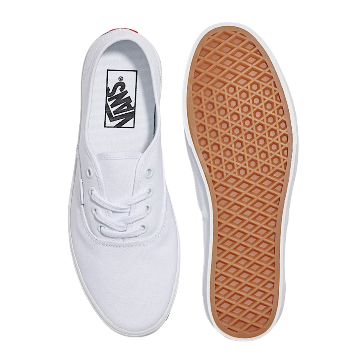 Vans Authentic Lowpro in White