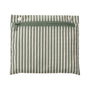 Baggu Everyday Cloud Bag in Sage Stripe - Getoutside Shoes