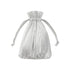 Baggu Pleated Baggu in Chrome Metallic - Getoutside Shoes