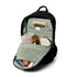 Bellroy Classic Backpack 20L in Black - Getoutside Shoes