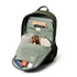 Bellroy Classic Backpack 20L in Olive - Getoutside Shoes