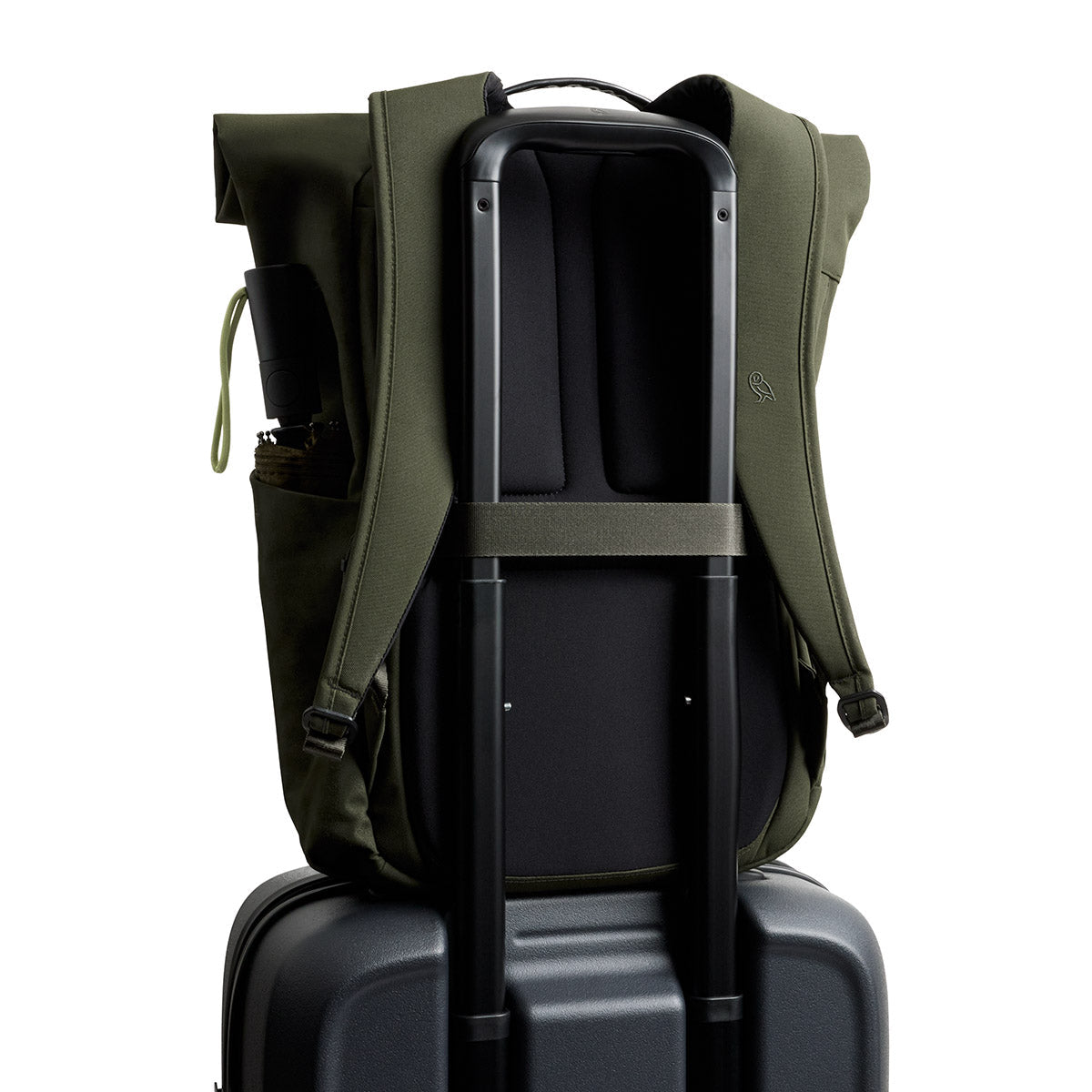 Bellroy Classic Rolltop 26L in Olive - Getoutside Shoes