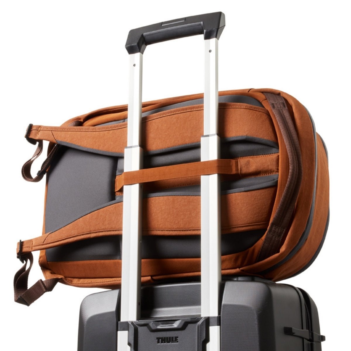 Bellroy Transit Workpack 20L (Second Edition) in Bronze - Getoutside Shoes