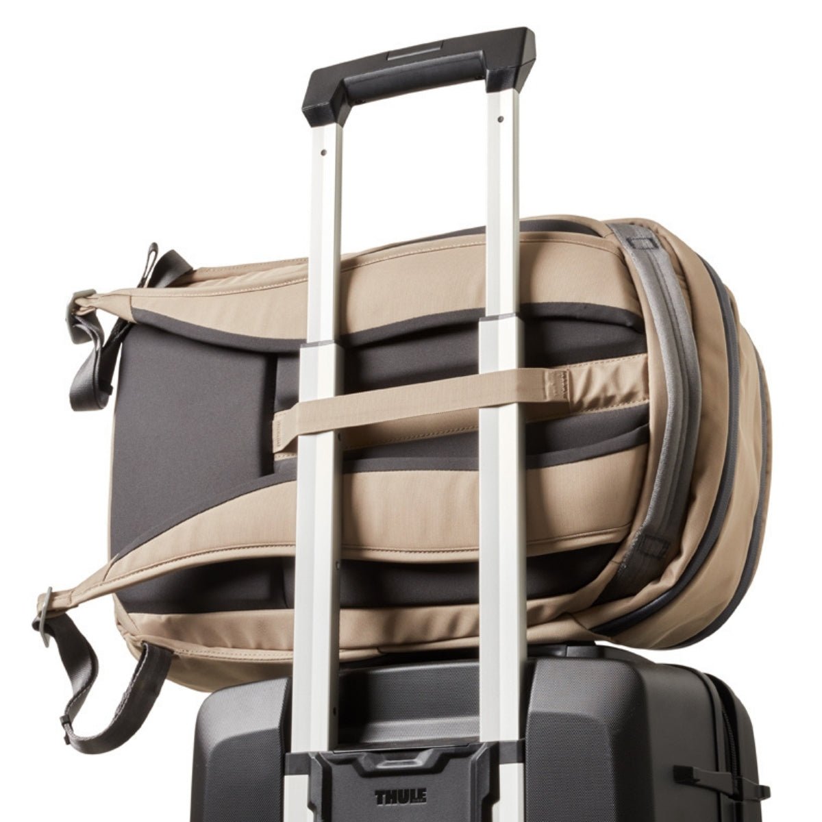 Bellroy Transit Workpack 20L (Second Edition) in Stone - Getoutside Shoes