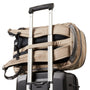Bellroy Transit Workpack Pro 22L in Stone - Getoutside Shoes