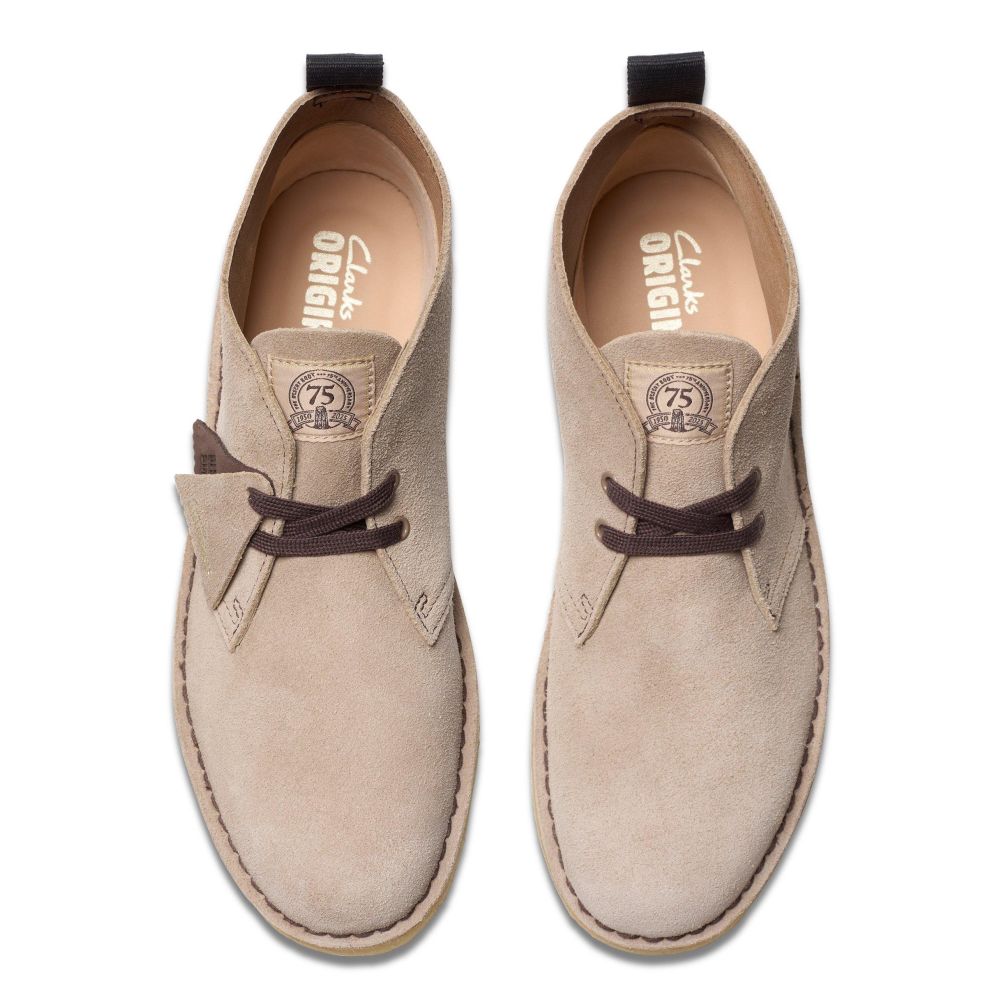 Clarks Men's Desert Boot in Wolf Suede