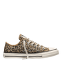 Converse Chuck Taylor All Star Low Top in Leopard Jacquard - Getoutside Shoes