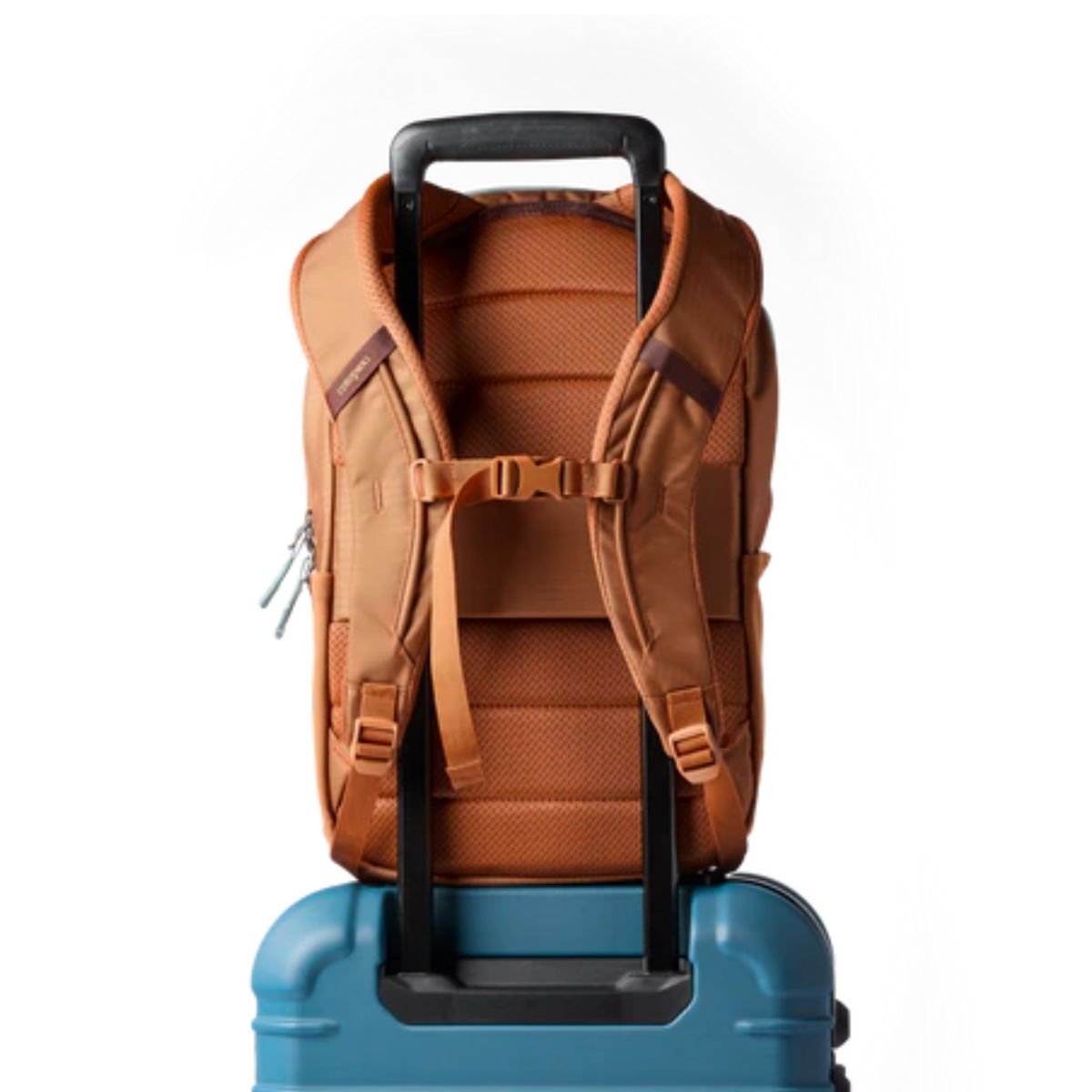 Cotopaxi Allpa 18L Daypack in Whiskey - Getoutside Shoes
