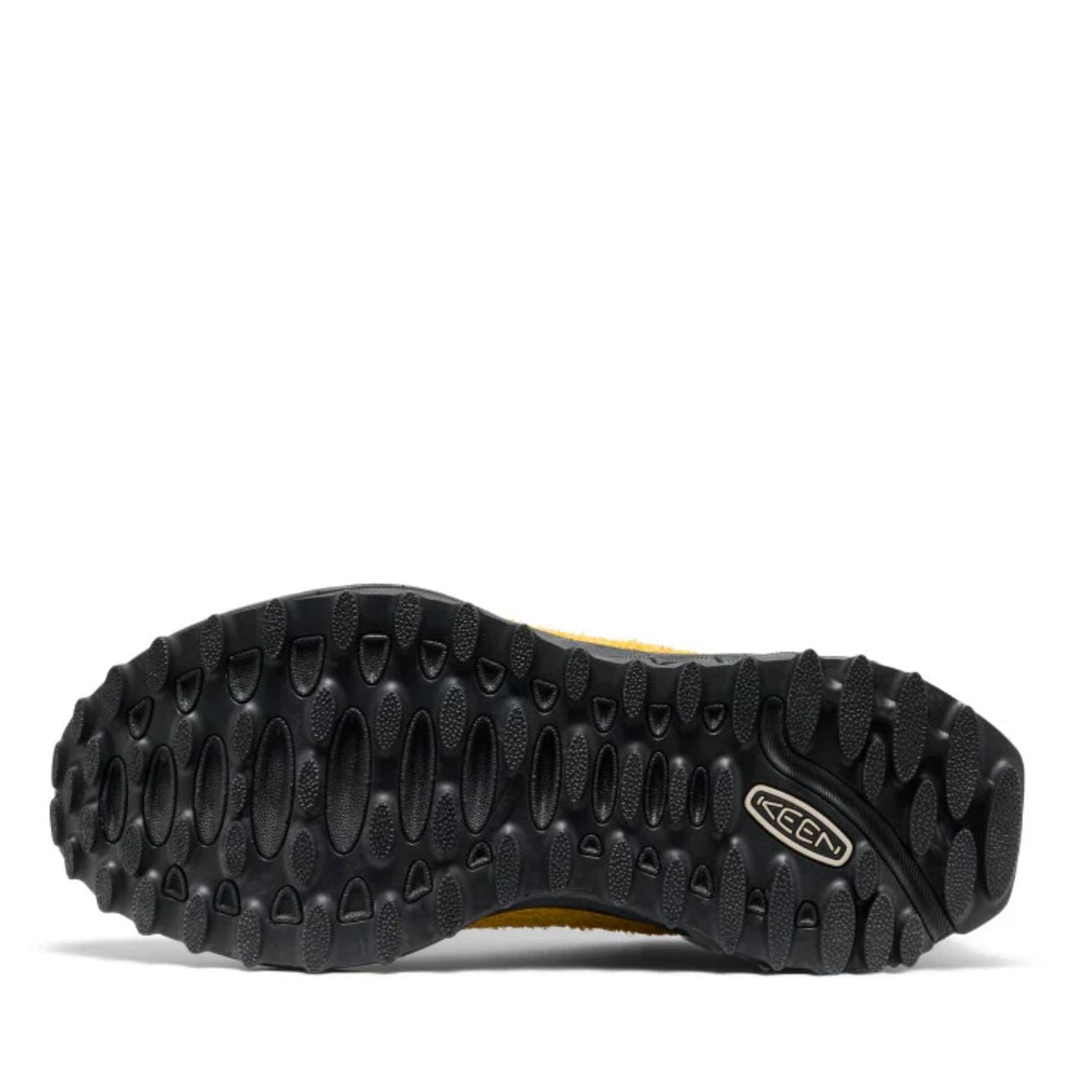 Keen Men's Jasper Zionic in Lemon Curry/Naval Academy - Getoutside Shoes