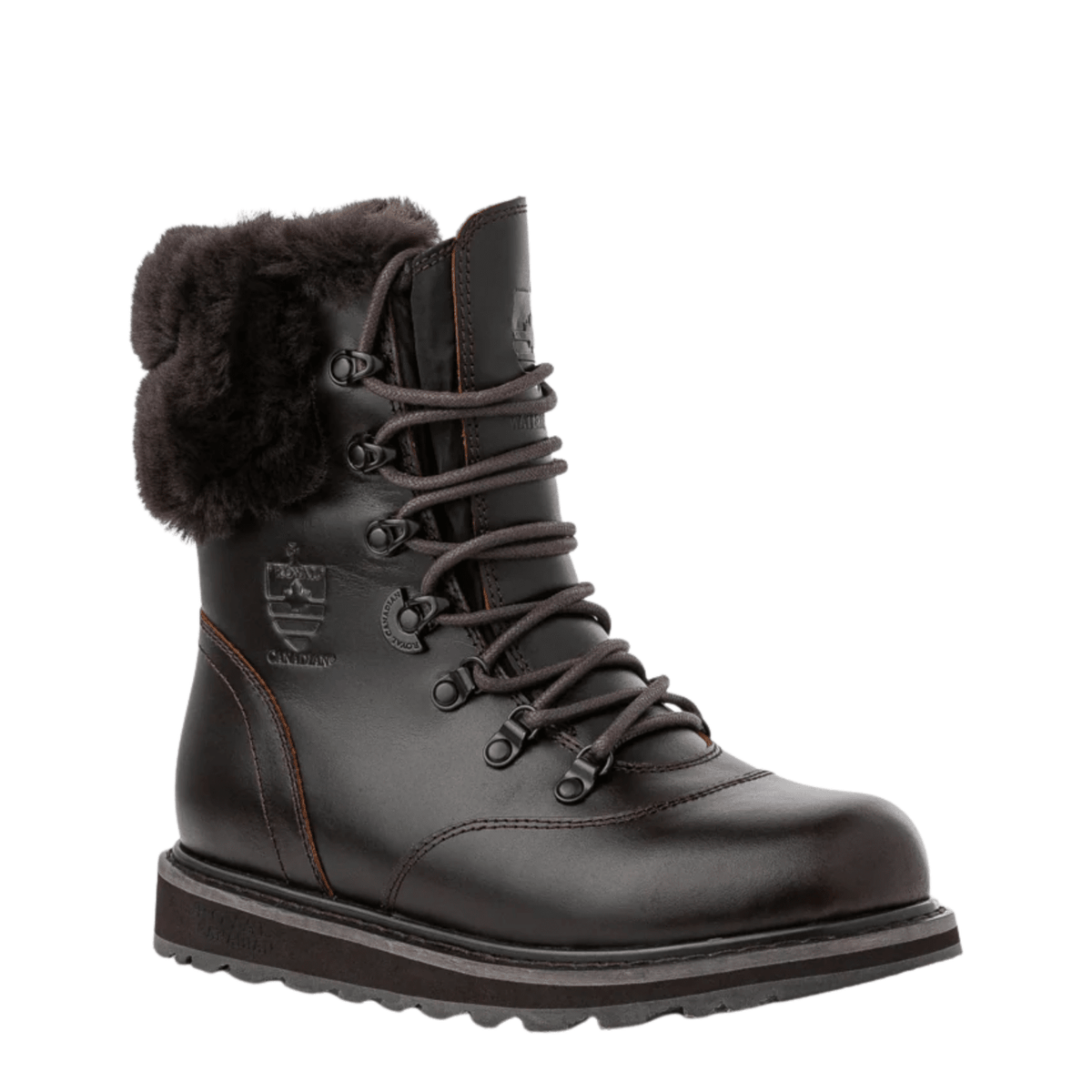 Royal Canadian Women's Cambridge in Chocolate Brown - Getoutside Shoes