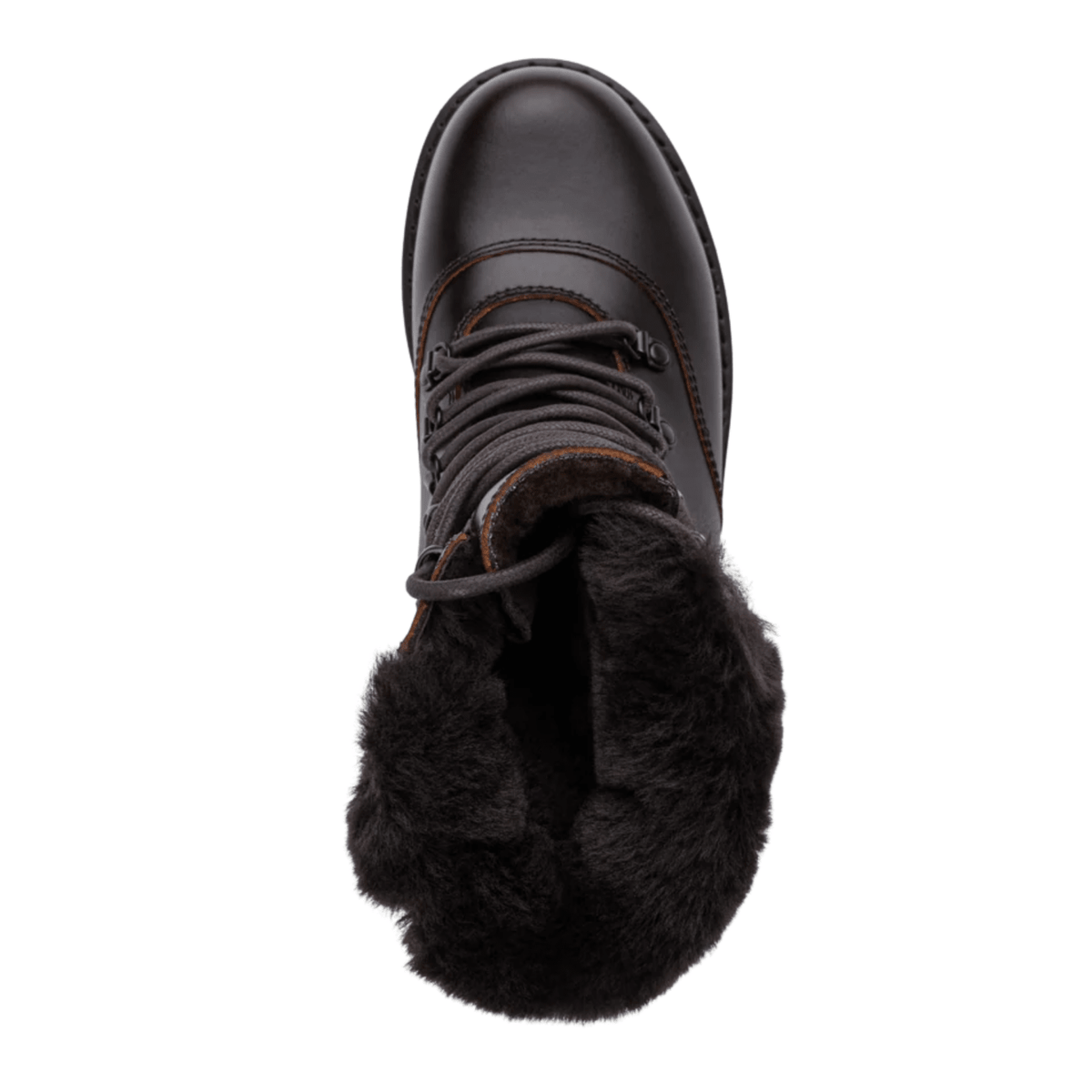 Royal Canadian Women's Cambridge in Chocolate Brown - Getoutside Shoes