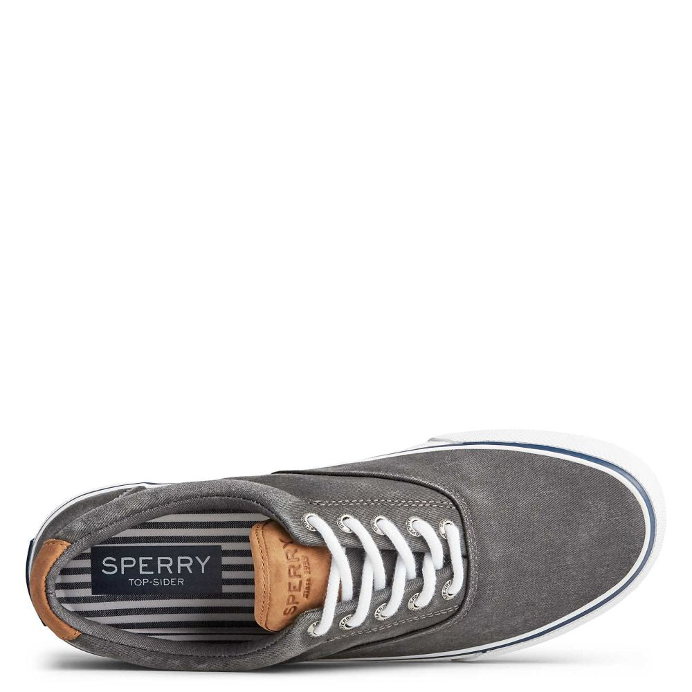 Sperry Men's Striper II CVO Sneaker in Salt Washed Black