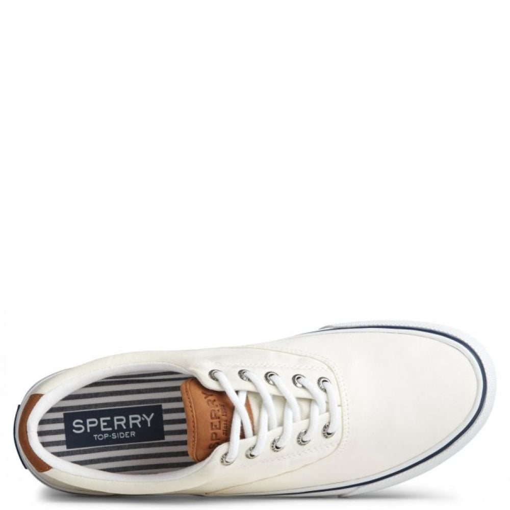 Sperry Striper II CVO Sneaker in Salt Washed White